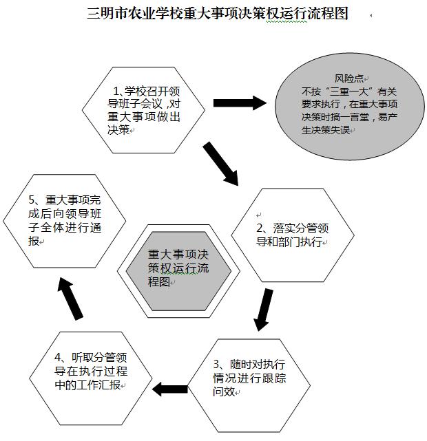 YABOCOM下载的最新网站|有限公司重大事项决策权运行流程图.JPG